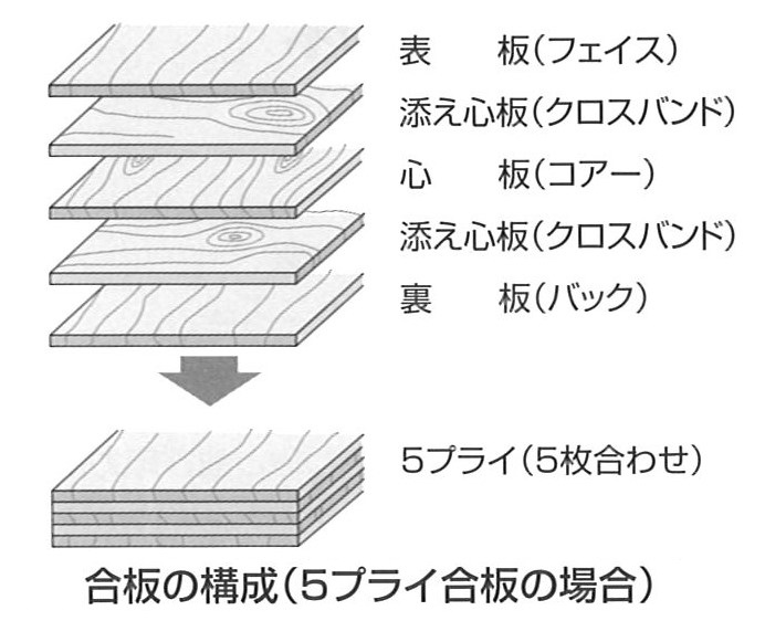 合板の基礎知識①