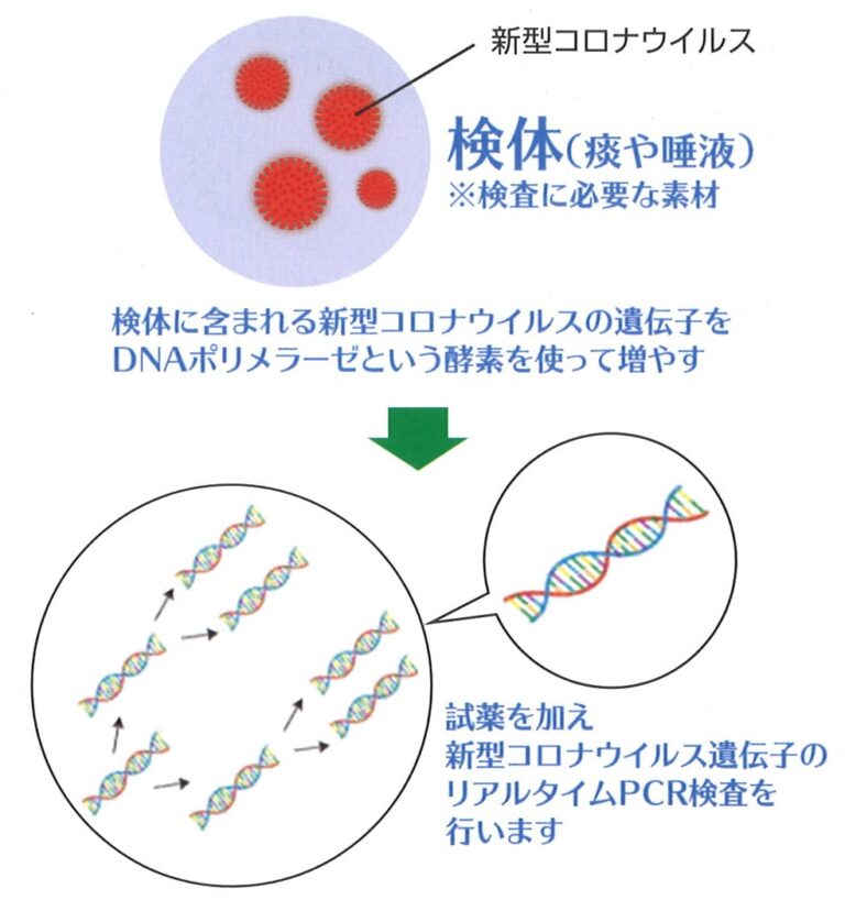 PCR検査って