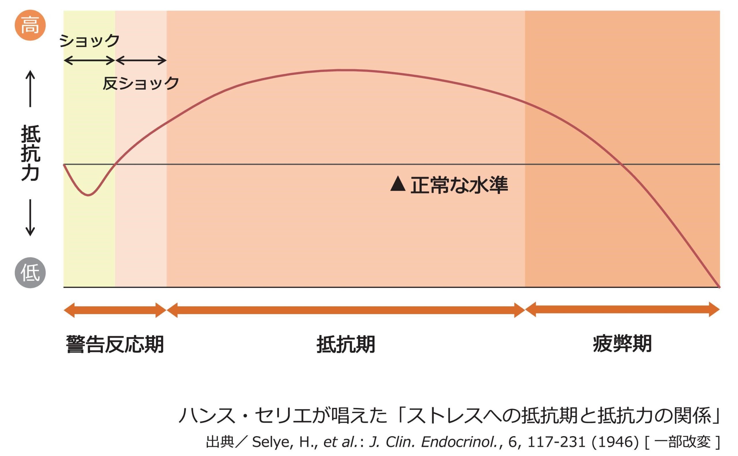 ストレス解消法 練馬 板橋で注文住宅ならアセットフォー