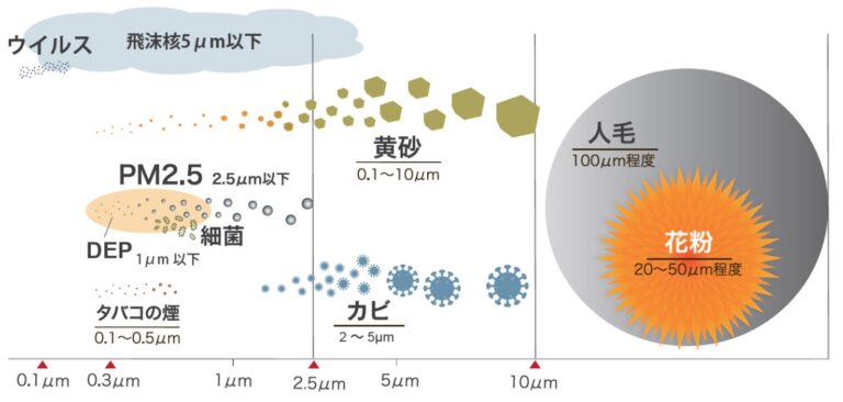 花粉シーズン到来？