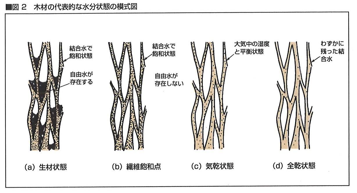 木材って 濡らしちゃいけないんでしょ 練馬 板橋で注文住宅ならアセットフォー