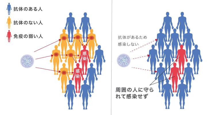 免疫を高める