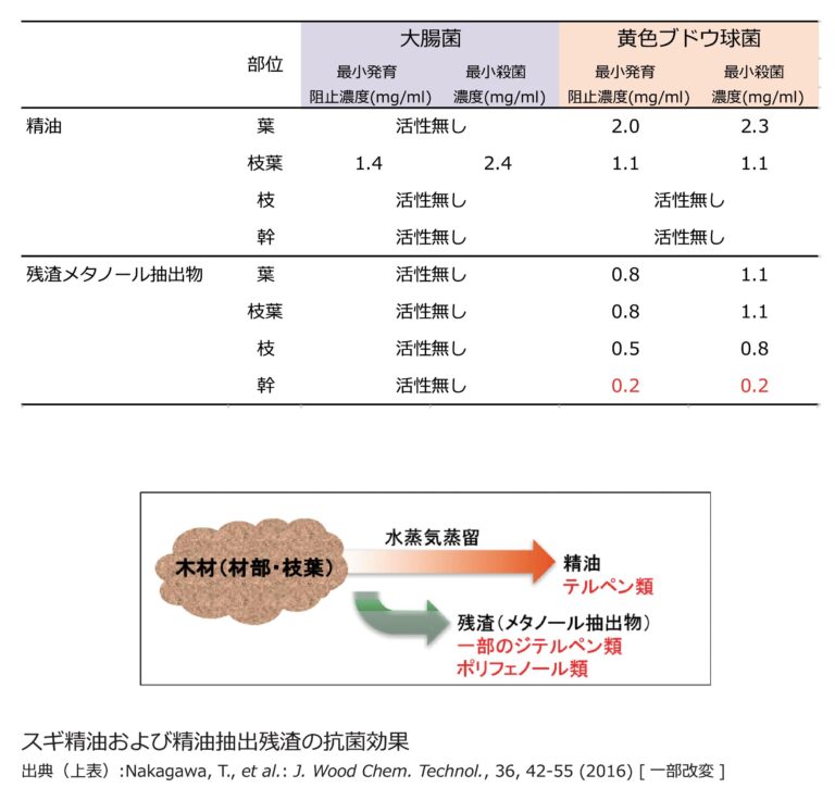 木材の抗菌効果