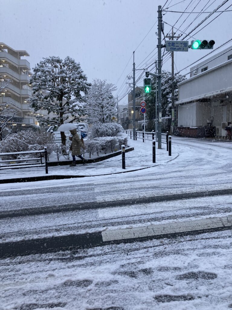 雪の降った翌朝は・・・