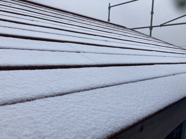 今日の練馬・板橋の天気は雪。  とうとう雪が降ってしまいました。