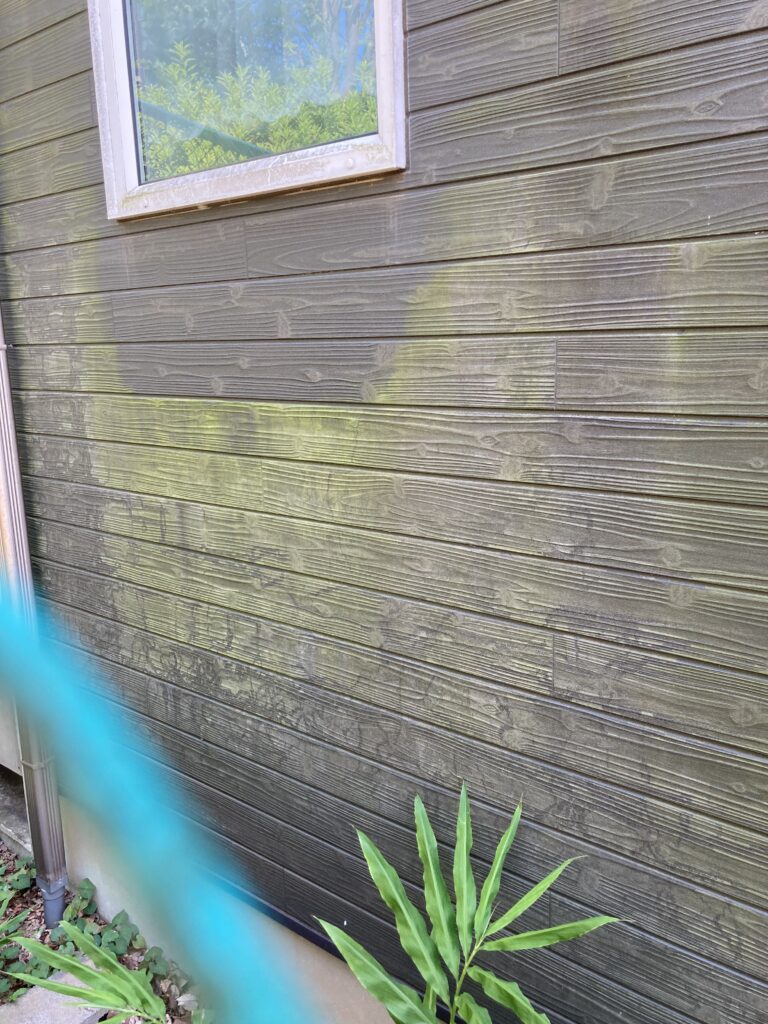 弱アルカリ性抗菌洗浄剤を使って外壁の藻を落としました。