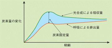 木の利用と地球温暖化対策の関係は・・・