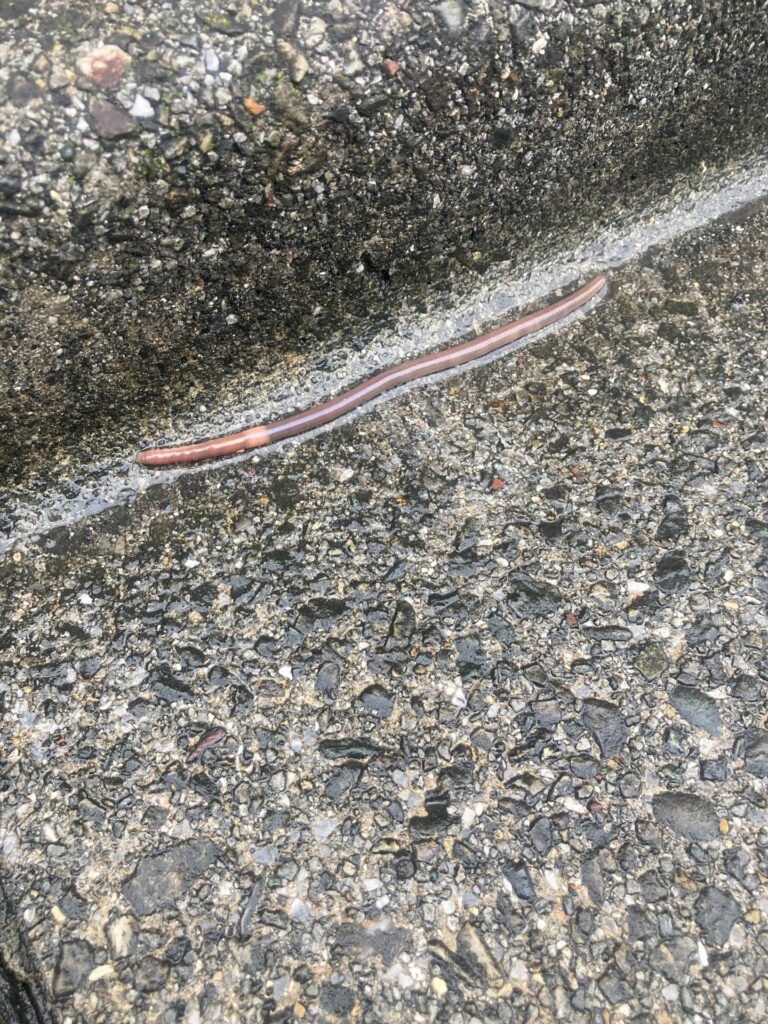 雨の日に、ふと思ったこと・・・
