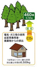 戦後の日本は木造住宅から鉄骨造やRC造にシフトしてきました。