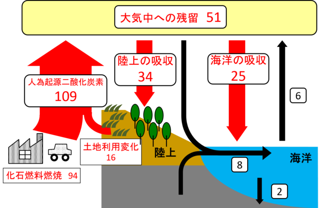 CO2を取り除く海洋の重要性②