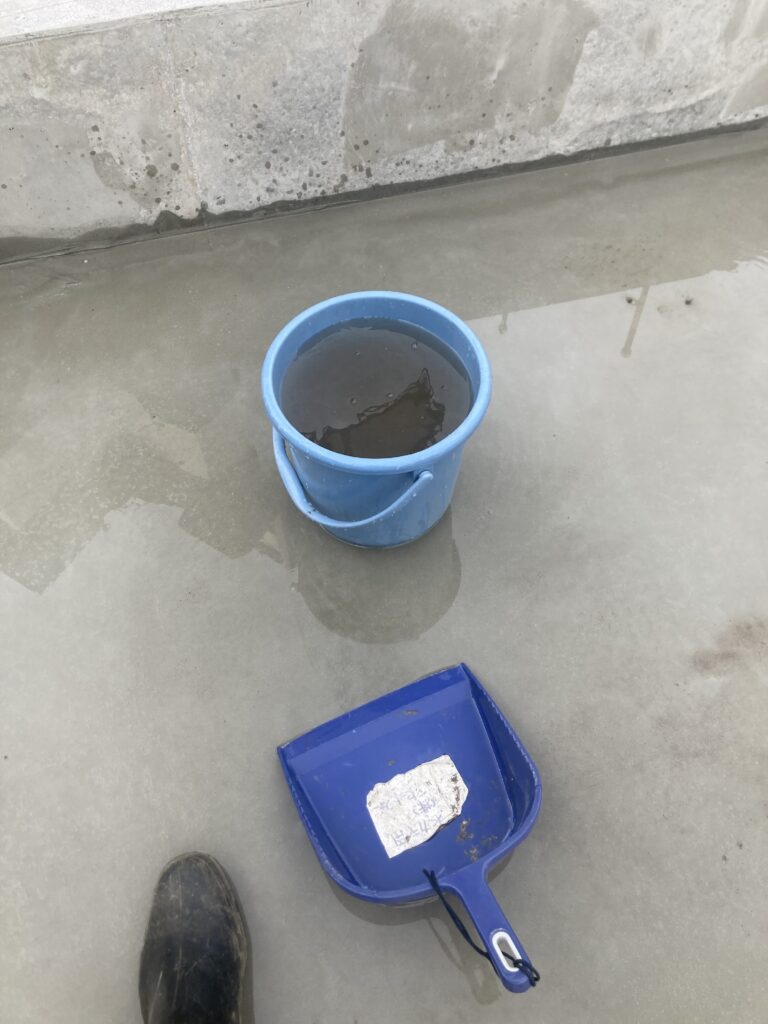 色々と試してみましたが、チリトリが一番水搔きに適していると思います。