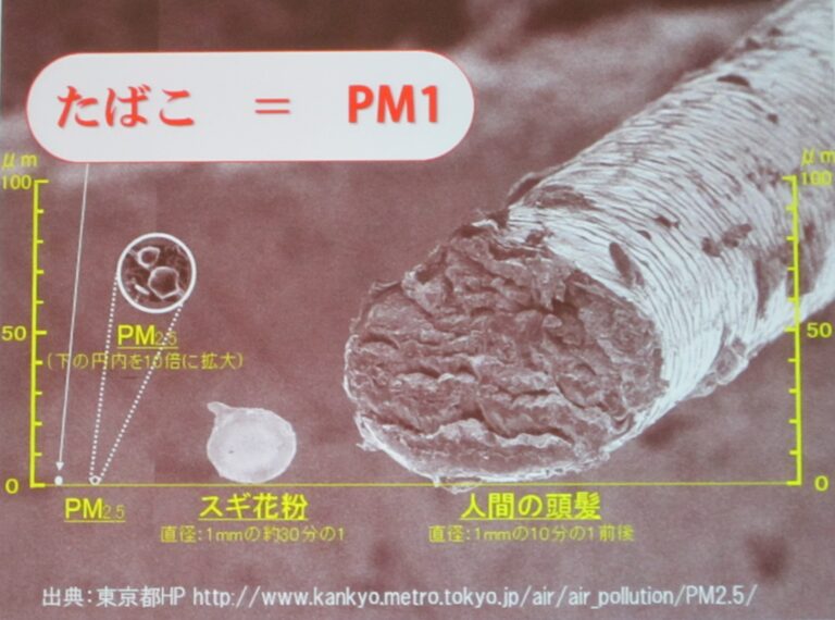 タバコの煙は子どもの知能指数を下げる？
