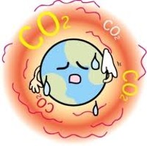 最近、山火事のニュースが多くないですか？