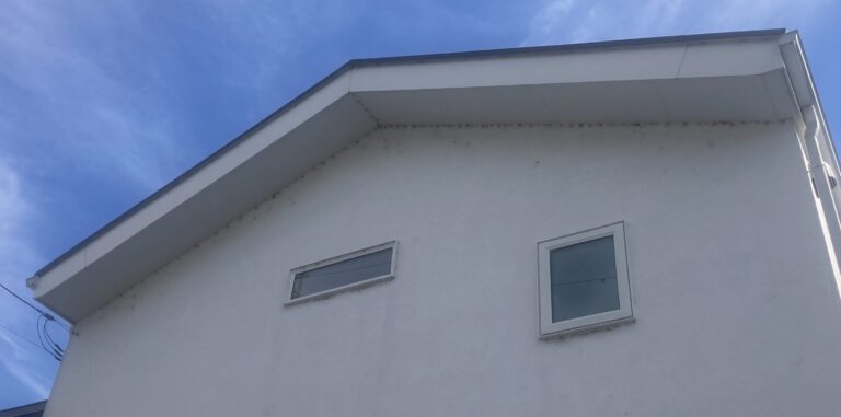 何でスイス漆喰に、たくさんの蜘蛛が巣を張ってるの？